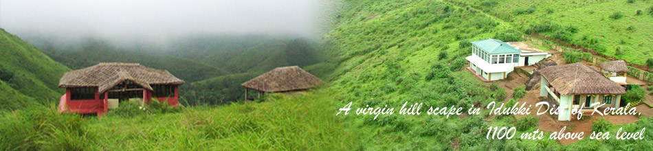 Green Meadows Vagamon, Kerala, India, Kerala, India